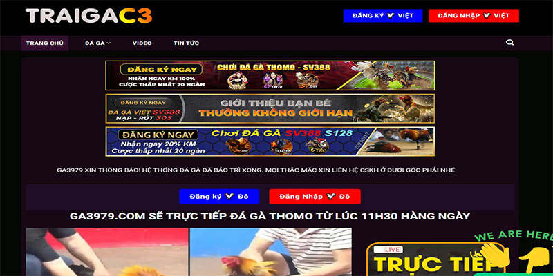 Giới thiệu Traigac3