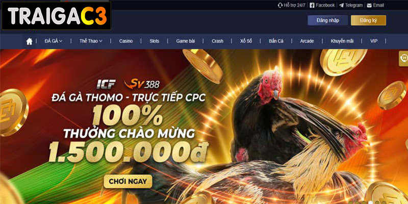 Traigac3 là gì mà có nhiều ưu đãi hấp dẫn?